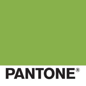 There it is! The Pantone Color of the Year for 2017!